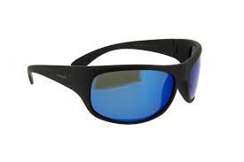 Poloroid Sun Glasses